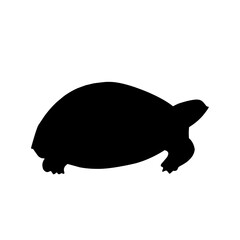 Turtle Vector Silhouette