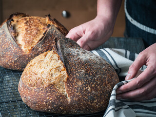 Freshly made loafs of sourdough bread and hands of the baker holding a tea towel.