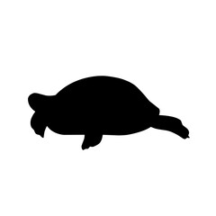 Turtle Vector Silhouette