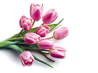 Mothers day, women day gift. Pink tulips bouquet isolated on white background. Generative AI