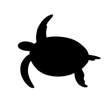 Turtle Vector Silhouette