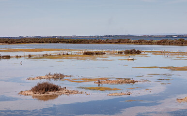 Les salins de Villeroy à Sète dans le département de l'Hérault - Région Occitanie