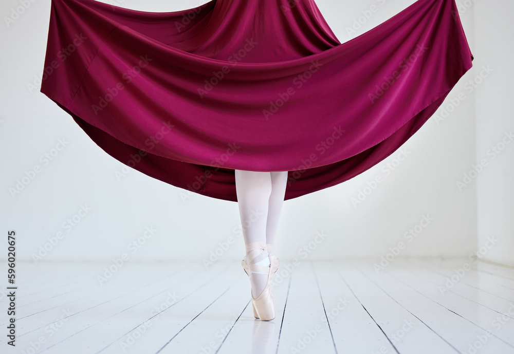 Poster Feet were made for so much more than just walking. .Shot of an unrecognisable woman dancing in a ballet studio.