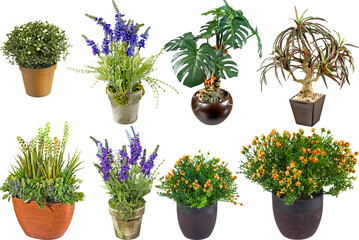 Artificial plant in Pot with transparent png background