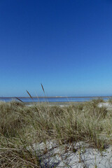 Dunes in the wind, on a sunny day in utersum