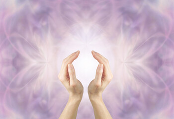 Healer Connecting to Divine Intelligence channeling high resonance Healing Energy - female cupped hands with light between against an ethereal lilac  background with space for messages
