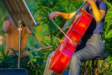 Person playing musical instrument in outdoor park