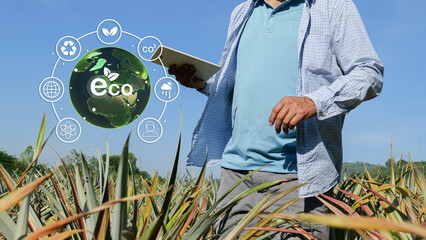 Sustainability in agricultural production, organic farming as an environmentally benign practice,...