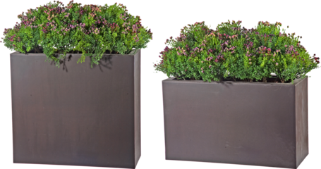 Artificial plant in flowerpot with transparent png background