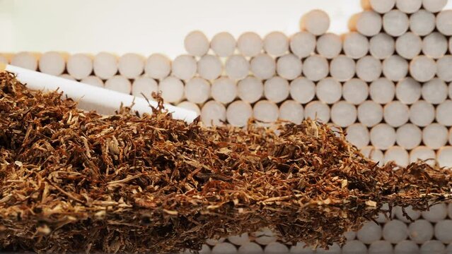 Tobacco and cigarette cases. Cigarettes and tobacco. Tobacco close-up.