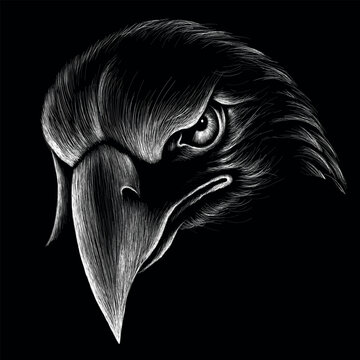 The Vector logo eagle for tattoo or T-shirt design or outwear.  Hunting style raven background. This hand drawing is for black fabric or canvas.