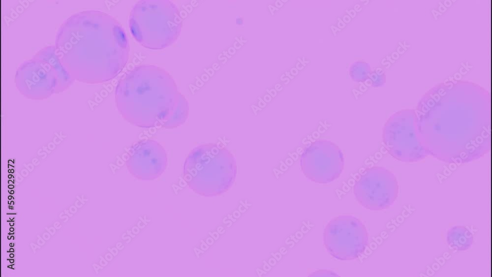 Poster animation of moving 3d bubbles on colored background. design. 3d soap bubbles are moving upwards in 