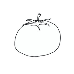 Tomato