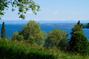 Fototapeta na wymiar a beautiful green meadow and lush green trees on Flower Island Mainau with lake Constance (also called Bodensee) and the Alps in the background (Germany)