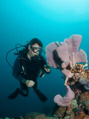 Scuba diver explores the beautiful coral reff.
 - obrazy, fototapety, plakaty