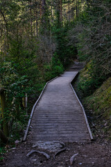 Obraz premium Birth of the Cuervo River, a wonder of nature