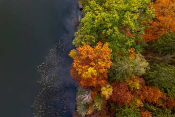 Aerial shot of beautiful lake surrounded by forest in a calm autumn day. Germany.