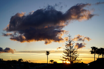 Dramatic sky at sunset and silhouettes of trees