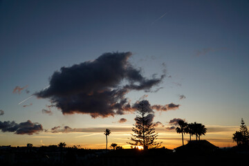 Dramatic sky at sunset and silhouettes of trees