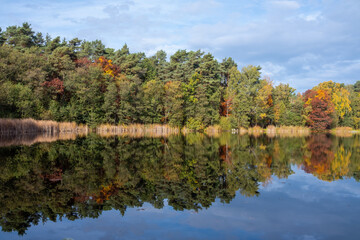 Fototapeta premium Natural landscape of the lake, high definition, the movement of waves against the background of the autumn forest. The reflection of clouds on the ripples of water. Germany.