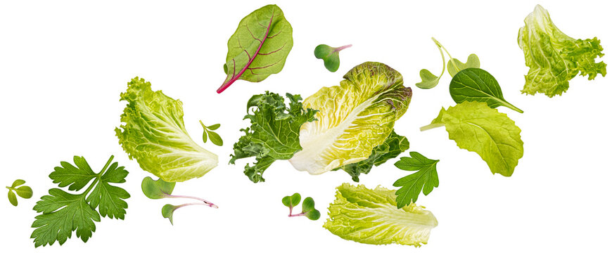 Falling Salad Leaves Isolated On White Background