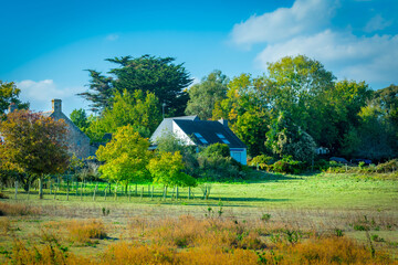 autumn landscape with a house
