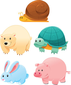 Funny animals, cartoon and vector characters