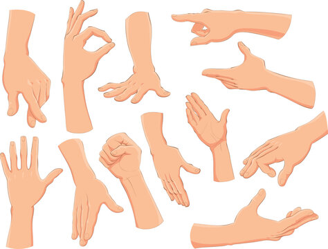 Hands. Cartoon and vector objects