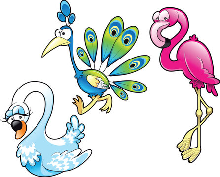 Peacock Swan Flamingo, cartoon and vector characters