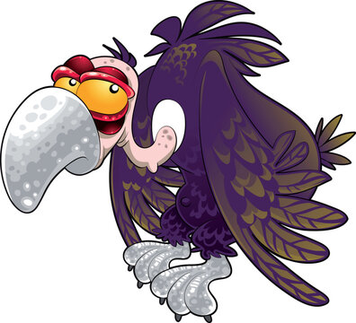 Baby vulture, vector and cartoon character