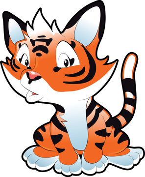 Baby Tiger, cartoon and vector character