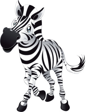 Baby Zebra, cartoon and vector character