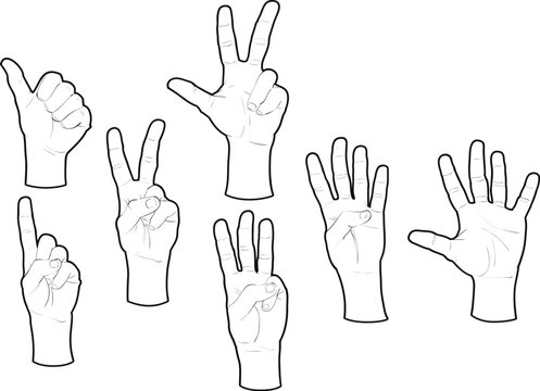 Hands and numbers. Vector isolated objects.