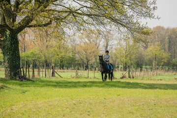 Fototapeta premium Young female adult girl riding hore on a meadow with yellow flowers and trees in the background.