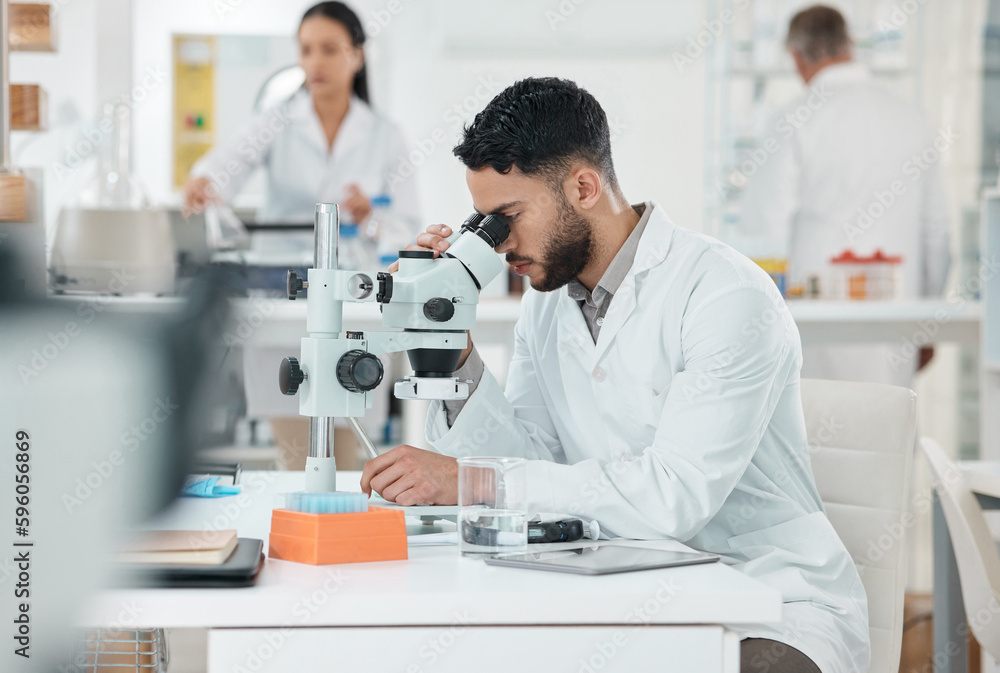 Aufkleber Take careful note of what you observe. a young scientist using a microscope in a lab.