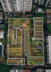 Aerial view of geometric urban garden with flowers, vegetables, and herbs between apartment buildings, generative ai