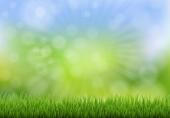 Fototapeta na wymiar Spring Poster With Grass Background