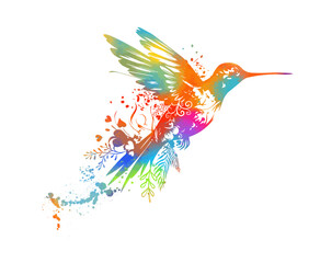 Colored flying bird hummingbird. Abstraction. Vector illustration © Мария Неноглядова