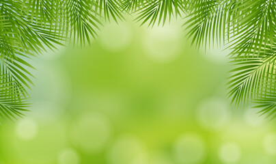Fototapeta na wymiar Palm Tree Leaves Leaves Frame Isolated And Nature Background