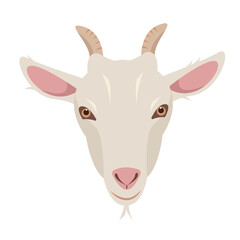 Female Goat face isolated on white background. Domestic goat Farm animal head. Vector flat or cartoon illustration.