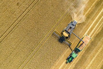 Combine harvester working on a wheat crop, aerial view
