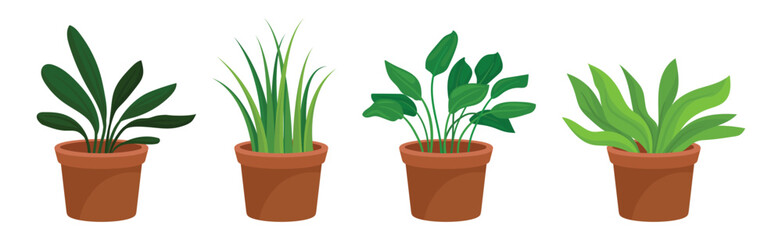 Flowers and Plants Growing in Ceramic Pots Vector Set - obrazy, fototapety, plakaty