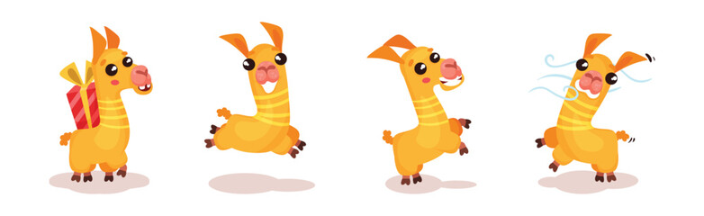 Cute Llama or Alpaca Animal Carrying Gift Box and Jumping Vector Set