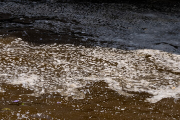 Environmental problem of plastic rubbish pollution in Izmir, Istanbul