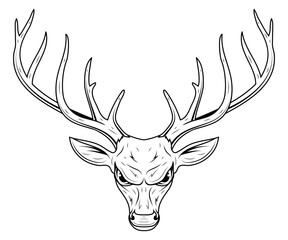 Deer head. Vector illustration of a sketch wild animal. Hunting logo.