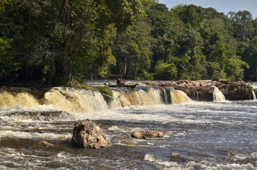 Obraz premium waterfall in the forest