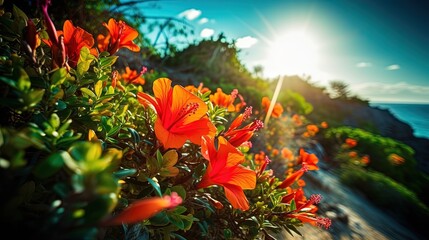 summer mood background wallpaper with copy space, orange hibiscus flower bush with seascape nature view, Generative Ai