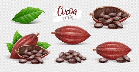 Set of Cocoa Pods with beans and green leaves isolated on white transparent background. Collection Ingredients for chocolate production. Realistic. Vector illustration