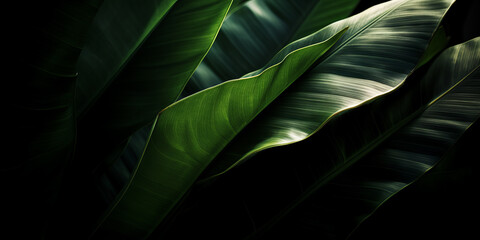 Banana leaves macro texture dark background, organic cosmetic promo banner concept. Generative AI