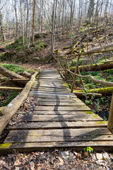 Holzbr&uuml;cke im Selketal Harz